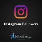 Instagram Followers