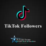 TikTok Followers