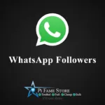 WhatsApp Followers
