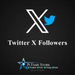 Twitter (X) Followers